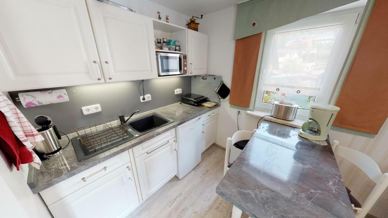 Ferienwohnung Wild Klingenthal Exteriér fotografie